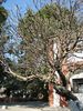 IMG_0164.jpg